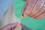 Matrix Super Soft Bait Bands - imagine 7