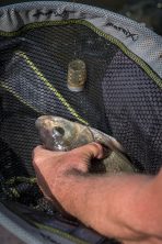 Cosulet Matrix Plastic Bottom Weighted Feeders - imagine 14