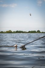 Cosulet distanta Matrix Plastic Orbit Feeders - imagine 18