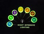 ZFISH NEEDLE FINE SPLICING - imagine 4