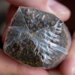 Pungi solubile Avid Carp PVA Bags Transfer Solid 12x6cm - imagine 3