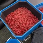 4PT BAIT TUB - imagine 3