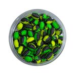 Wafters MG Special Carp Melci G-Amino 10x7mm, 30g - imagine 2