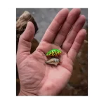 Vobler Salmo Tiny Floating, Holo Stickleback, 3.0cm, 2.0g - imagine 2