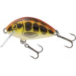 Vobler Salmo Tiny IT3F Floating 3cm, culoare Baby Minnow