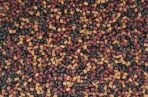 Micropelete 4 mm Mix 800 gr - imagine 2