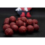 Boilies Dudi Bait Tare Forest Squid 16mm, 1kg