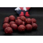 Boilies Dudi Bait Tare Forest Squid 20mm, 1kg