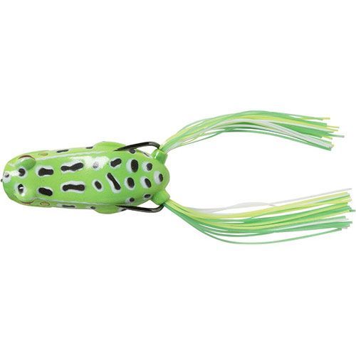 Pop frog green - imagine principală Pop frog green - imagine principală